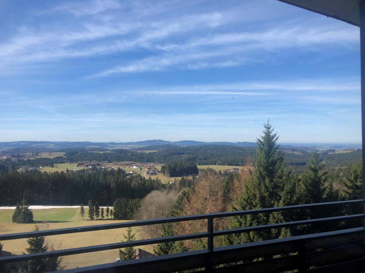 ノイライヒェナウPanorama Bayerwaldアパートメント エクステリア 写真