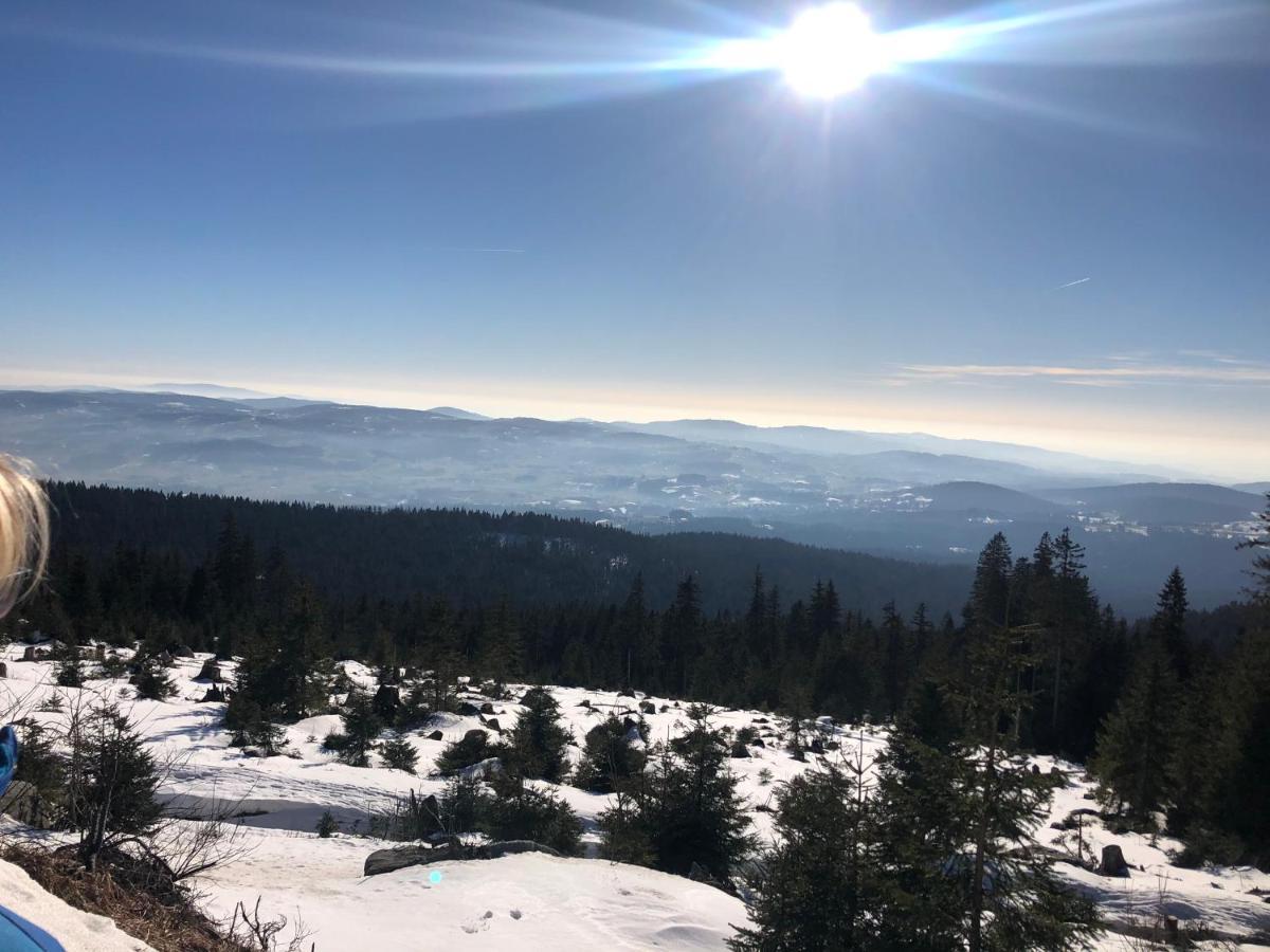 ノイライヒェナウPanorama Bayerwaldアパートメント エクステリア 写真