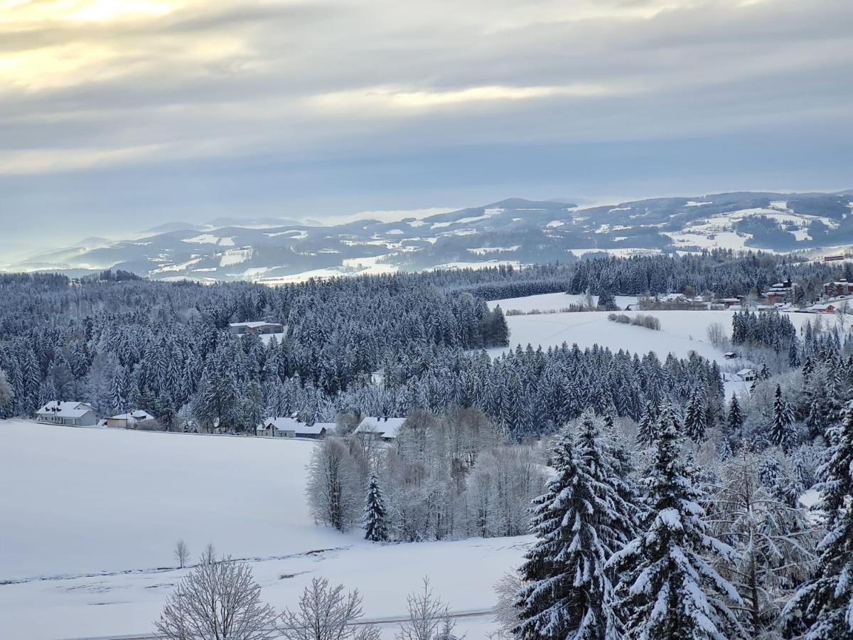 ノイライヒェナウPanorama Bayerwaldアパートメント エクステリア 写真