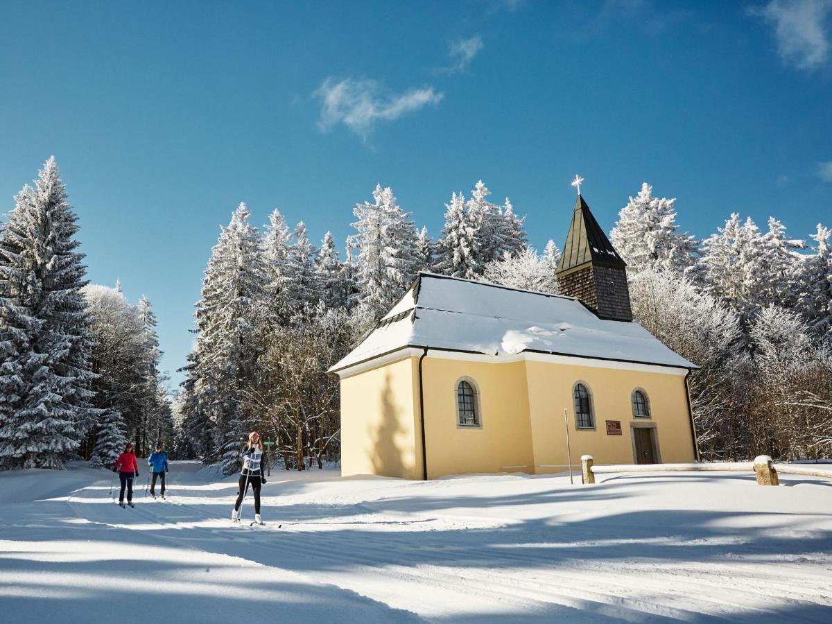 ノイライヒェナウPanorama Bayerwaldアパートメント エクステリア 写真